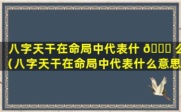 八字天干在命局中代表什 🐘 么（八字天干在命局中代表什么意思）